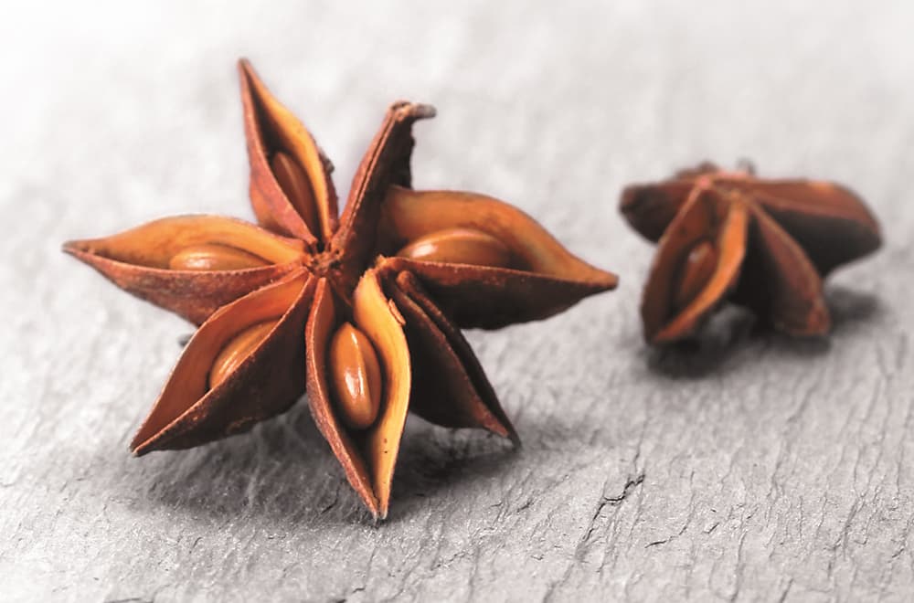 Star Anise